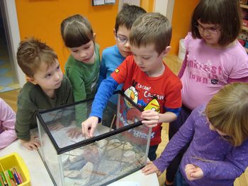 Narava – naša najboljša učiteljica