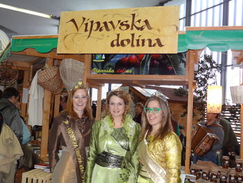 Turizem in prosti čas 2014