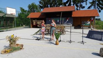 Izzivi družabništva za starejše osebe