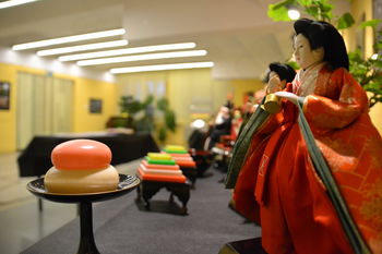 Vrhniški pevci navdušujejo