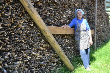 Pri devetdesetih naredila 620 butar