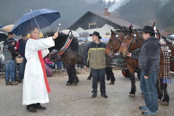 Blagoslovljena sol in kruh za vsakega konja