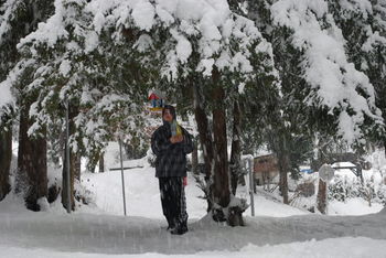 POZIMI SKRBIMO ZA PTICE