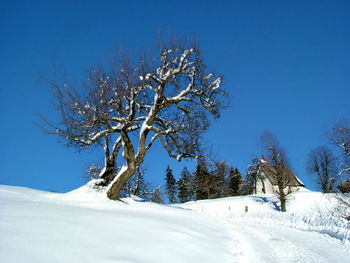 Čreta v očeh pohodnika
