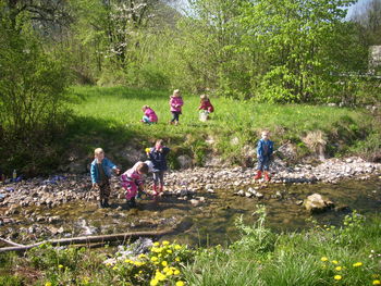 Narava, narava, narava Narava, narava, narava