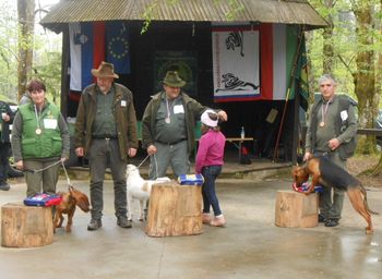 VRANSKI LOVCI SO SE UDELEŽILI DRŽAVNE RAZSTAVE LOVSKIH PSOV