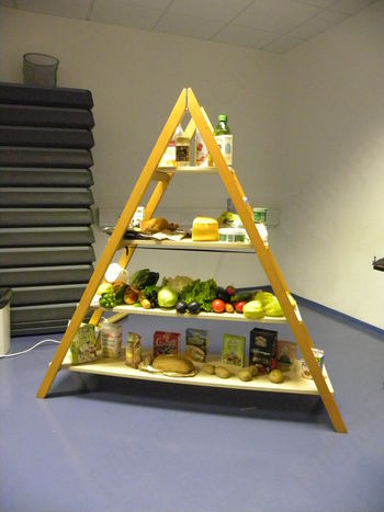 Se znamo zdravo prehranjevati?