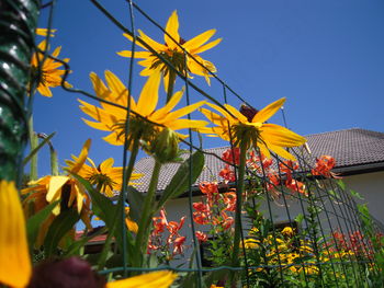 V DU SEVNICA JE DIŠALO PO SVEŽEM DOMAČEM KRUHU