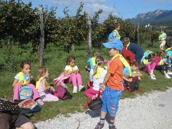 Športni dan vipavskih prvošolcev