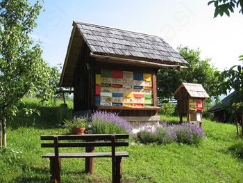 Apiturizem ali čebelarski turizem