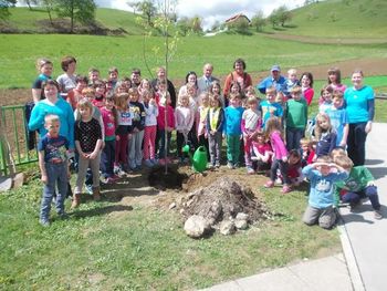 V Socki posadili drevo