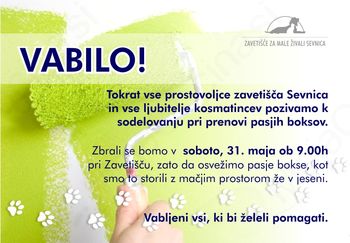 PLESKANJE PASJIH BOKSOV V ZAVETIŠČU SEVNICA PLESKANJE PASJIH BOKSOV V ZAVETIŠČU SEVNICA