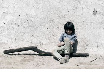 Kino na Starem trgu: Projekcija filma Drevo