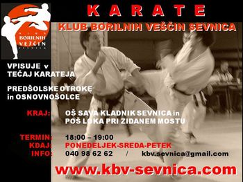 VPIS V KARATE