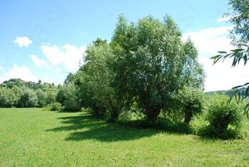 Do jeseni bomo prenehali z deli v mejicah in na obrežjih vodotokov