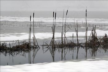 Predavanja KP Ljubljansko barje, Skupna kmetijska politika in Podjetniški pristopi