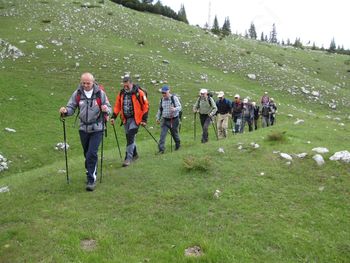 Lintverni v Črni gori