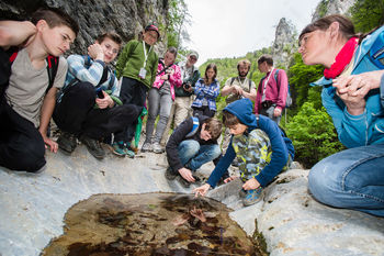 DOVŽANOVA SOTESKA ZANIMIVA TUDI ZA AMERIČANE