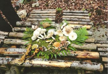 Društvo gobarjev je zelo aktivno Društvo gobarjev je zelo aktivno