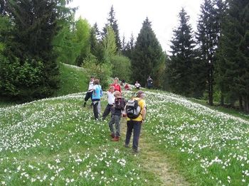 Vozni red v Alpah Vozni red v Alpah