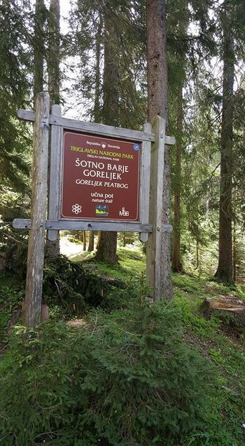 DRUŽINSKI DAN NA GORELJKU