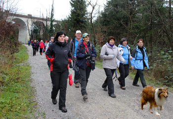 Sončki skozi gozdove pod Ljubljanskim vrhom