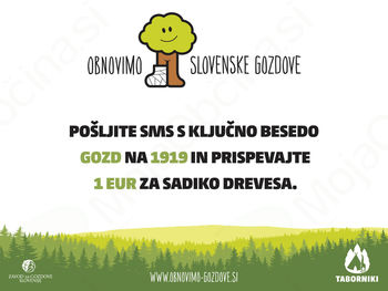 Obnovimo slovenske gozdove! Vsako dejanje šteje..