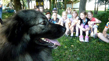 Učenci iz Podgorja in Šmiklavža so obiskali revijo športnih pasem psov