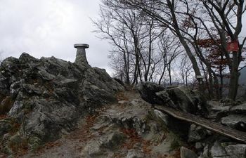 Planinski pohod na Polhograjsko Grmado