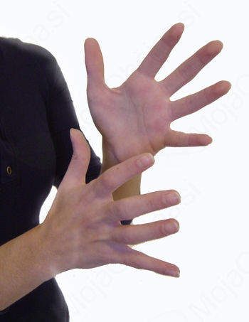 Tečaj slovenskega znakovnega jezika