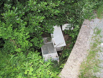 Še vedno so med nami packi