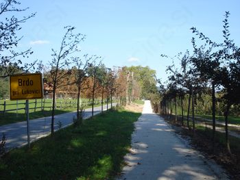 VARNEJŠA POT V ŠOLO - PEŠ POT BRDO