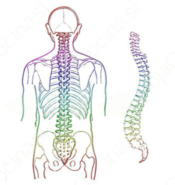 Predavanje na temo bolečine v hrbtenici