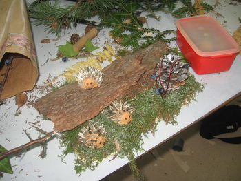 Ustvarjalne delavnice na OŠ Vojnik 