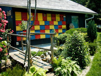 Čebele in opraševanje