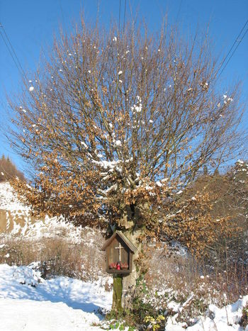 Romanje na praznik Brezmadežne