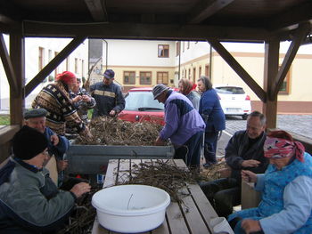 Stanovalci doma luščili fižol