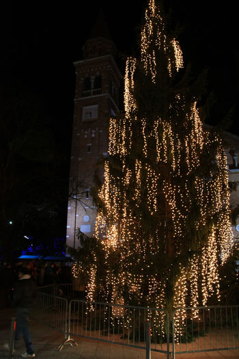 Prižig novoletnih lučk 