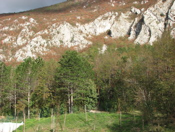 Kamp Tura – vir pozitivne energije