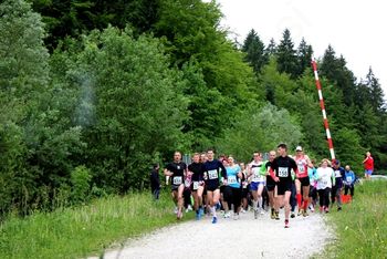 Presenetljivo nizke temperature niso ustavile tekačev pri 9. teku okoli Gradiškega jezera.