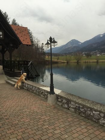 V NEDELJO BO 5. EX TEMPORE PREDDVOR 2015