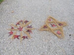 Prvošolci ustavrjamo v naravi