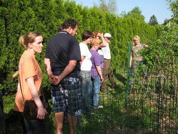 Vse rastline so trajnice