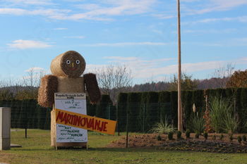 Pri vinogradnikih so kuhali ričet 