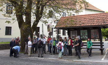 Pohod in meddruštveno srečanje na Ljubnu 