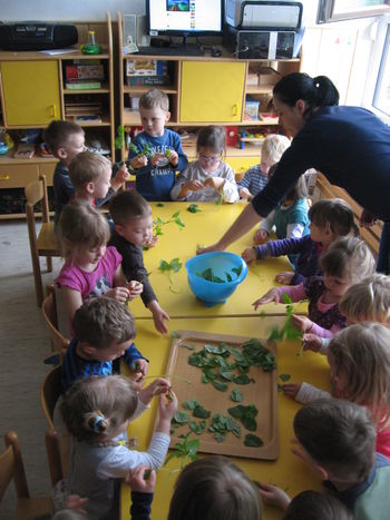 Urejanje skalnjaka z zelišči