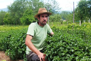 Na Klučarjevi zeliščni kmetiji