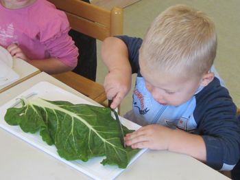 Dnevi sadja in zelenjave Dnevi sadja in zelenjave