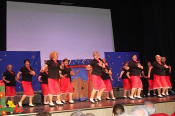 Društvo Most - 15 let Društvo Most - 15 let