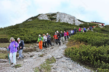 Sončki na Snežniku Sončki na Snežniku